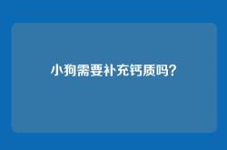 小狗需要补充钙质吗？