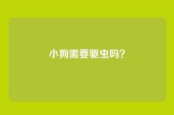 小狗需要驱虫吗？