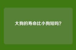 大狗的寿命比小狗短吗？