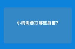 小狗需要打哪些疫苗？