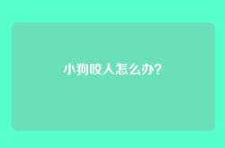 小狗咬人怎么办？