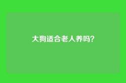 大狗适合老人养吗？