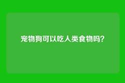 宠物狗可以吃人类食物吗？