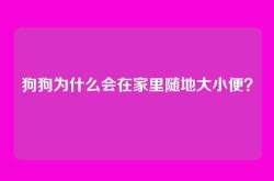 狗狗为什么会在家里随地大小便？