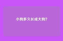 小狗多久长成大狗？