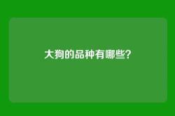 大狗的品种有哪些？