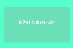 狗为什么喜欢玩球？