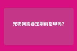宠物狗需要定期剪指甲吗？