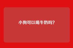 小狗可以喝牛奶吗？