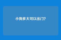 小狗多大可以出门？