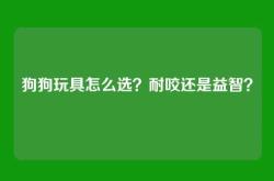 狗狗玩具怎么选？耐咬还是益智？