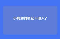 小狗如何教它不咬人？