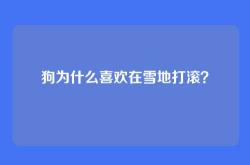 狗为什么喜欢在雪地打滚？