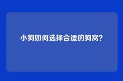 小狗如何选择合适的狗窝？