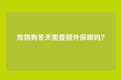 宠物狗冬天需要额外保暖吗？