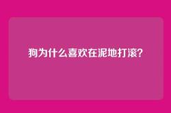 狗为什么喜欢在泥地打滚？