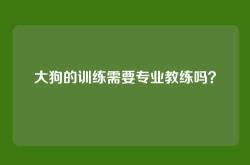 大狗的训练需要专业教练吗？