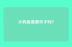 小狗需要磨爪子吗？
