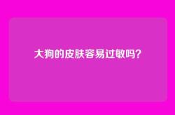 大狗的皮肤容易过敏吗？