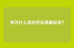 狗为什么喜欢把玩具藏起来？