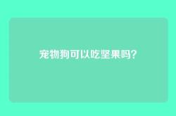 宠物狗可以吃坚果吗？