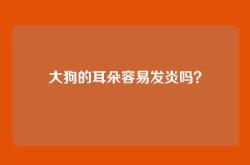 大狗的耳朵容易发炎吗？