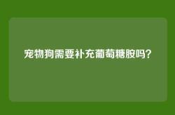 宠物狗需要补充葡萄糖胺吗？