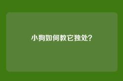 小狗如何教它独处？