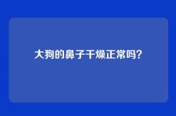 大狗的鼻子干燥正常吗？