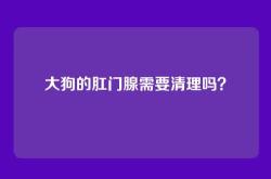 大狗的肛门腺需要清理吗？