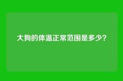 大狗的体温正常范围是多少？