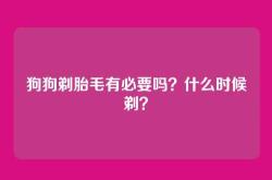 狗狗剃胎毛有必要吗？什么时候剃？