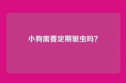 小狗需要定期驱虫吗？