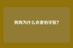 狗狗为什么会害怕牙医？
