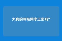 大狗的呼吸频率正常吗？