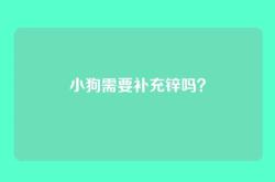 小狗需要补充锌吗？