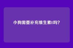 小狗需要补充维生素E吗？