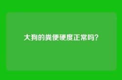 大狗的粪便硬度正常吗？