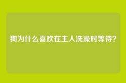 狗为什么喜欢在主人洗澡时等待？