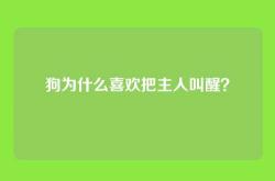 狗为什么喜欢把主人叫醒？