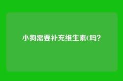 小狗需要补充维生素C吗？
