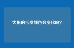 大狗的毛发颜色会变化吗？