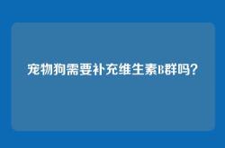 宠物狗需要补充维生素B群吗？