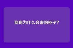 狗狗为什么会害怕柜子？