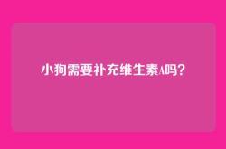 小狗需要补充维生素A吗？