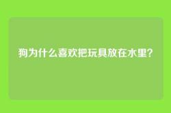 狗为什么喜欢把玩具放在水里？