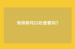 宠物狗可以吃香蕉吗？