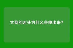 大狗的舌头为什么会伸出来？
