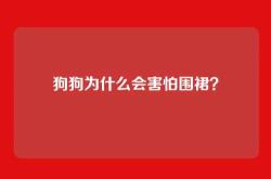 狗狗为什么会害怕围裙？
