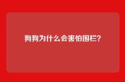 狗狗为什么会害怕围栏？